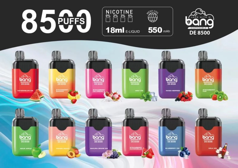 BANG 8500 DE