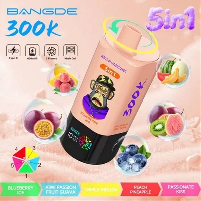 BANG DE 5IN1 300K: מכשיר אחד, חמישה טעמים, 300,000 חיי סוללה ארוכים במיוחד-