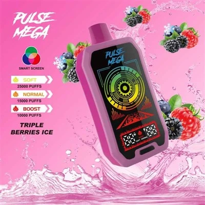 R&M PULSE MEGA 25000 פחזניות