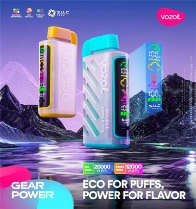 VOZOL GEAR POWER 20000