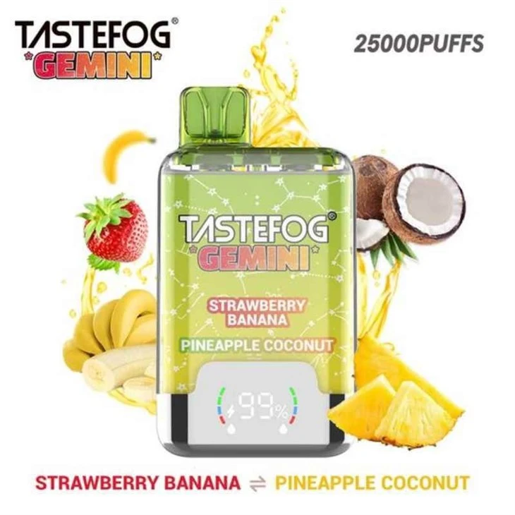TASTEFOG GEMINI 25000 1